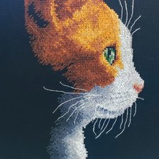 Работа «№93157»