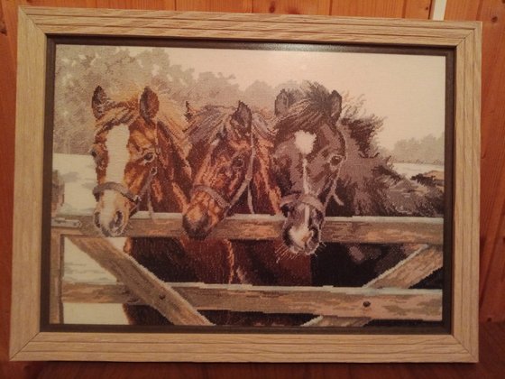 Работа «Жеребята-отъемыши»