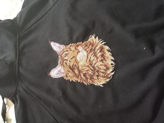 Работа «Мейн-кун panna»