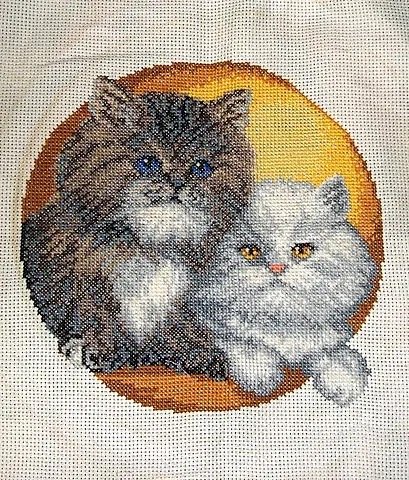 Работа «Котейка»