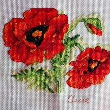 Работа «Маки»