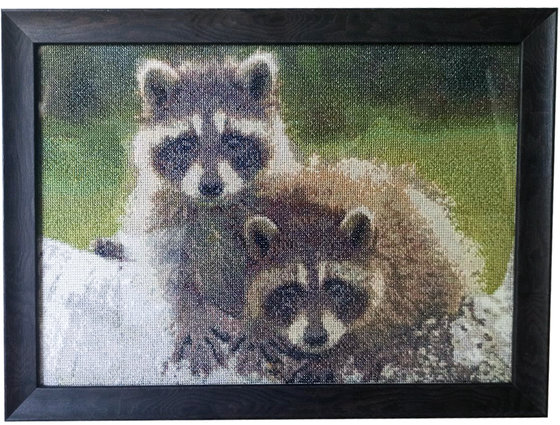 Работа «Енотики»