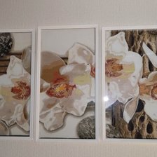 Работа «полиптих орхидеи»