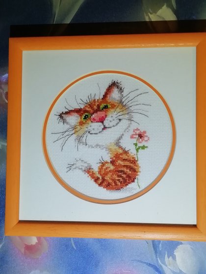 Работа «Котик»