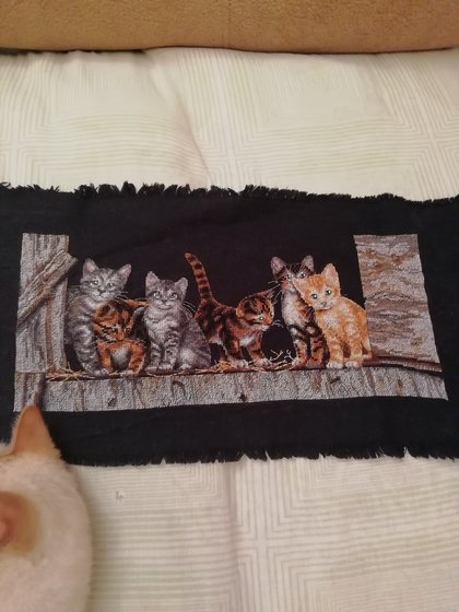 Работа «Кошки на сеновале»