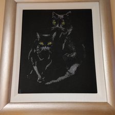 Работа «chat noir»