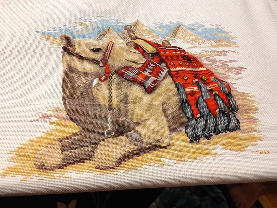 Работа «chameau au repos»