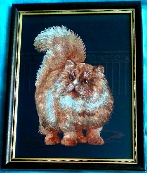 Работа «Кот»