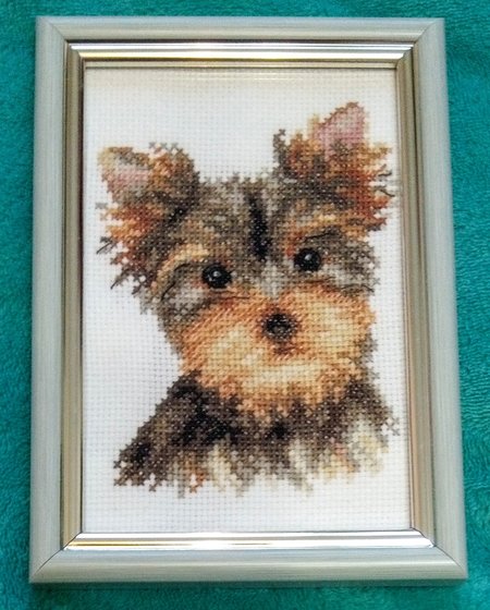 Работа «Йорк»