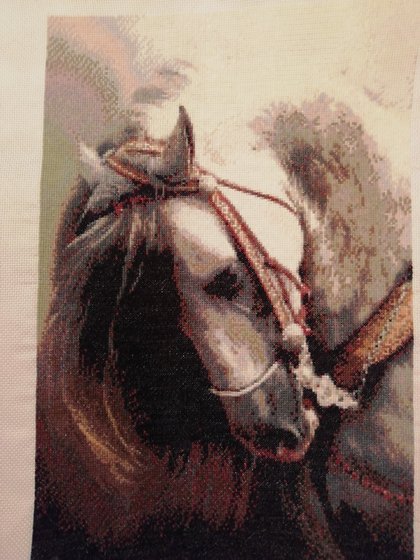 Работа «Лошадь»