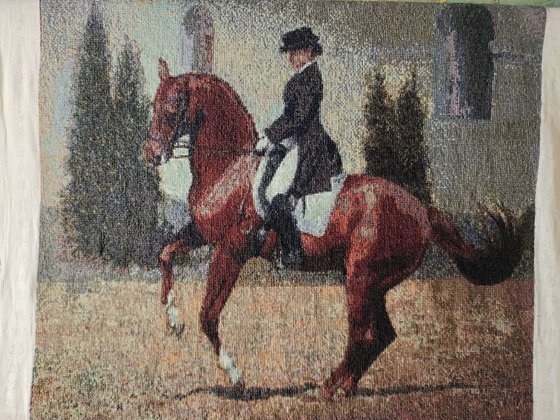 Работа «Всадница»