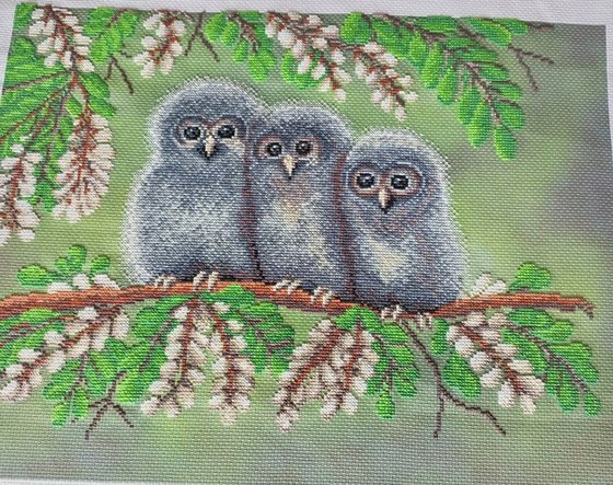 Работа «Совята от Овен»