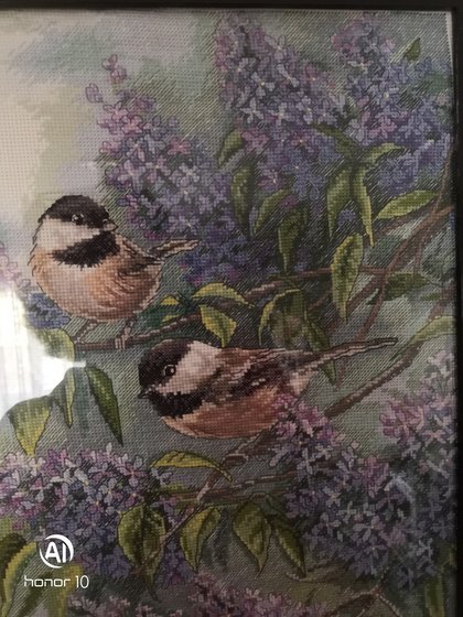 Работа «Птички»