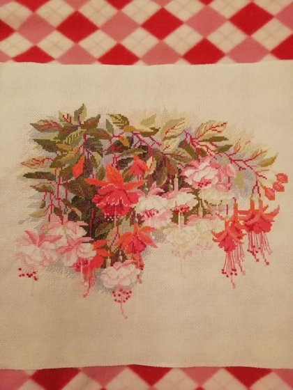 Работа «Фуксии»