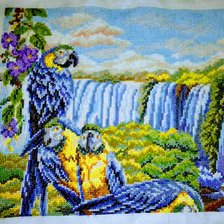 Работа «"Дикая природа"»