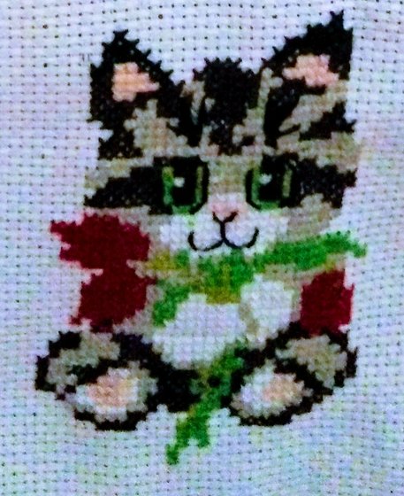 Работа «"Котенок и цветок "»