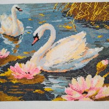 Работа «Лебеди.»