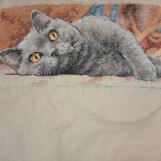 Работа «Кот Макс»