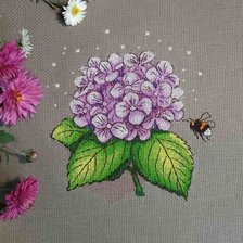 Работа «Гортензия»