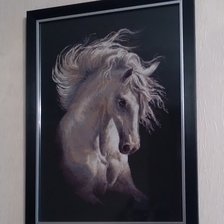 Работа «Андалузский характер. Риолис.»