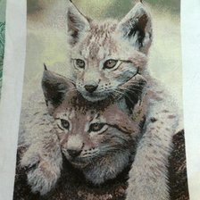 Работа «Рысята»