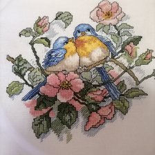 Работа «№94557»