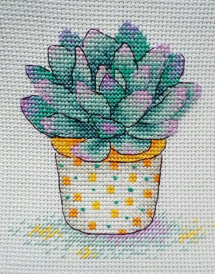 Работа «М-381, МП Студия, 'Прелесть суккулента' 11*11»