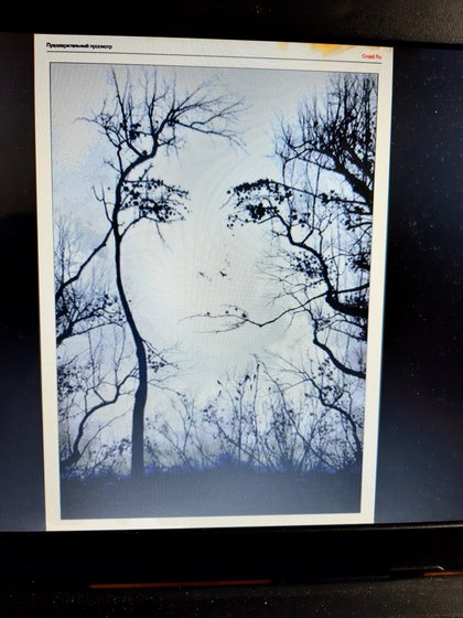 Работа «№94644»