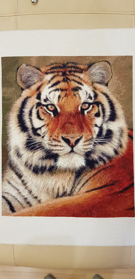 Работа «Красавец тигр»