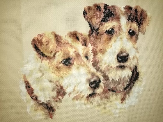 Работа «№94696»