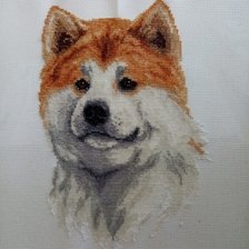 Работа «№94698»