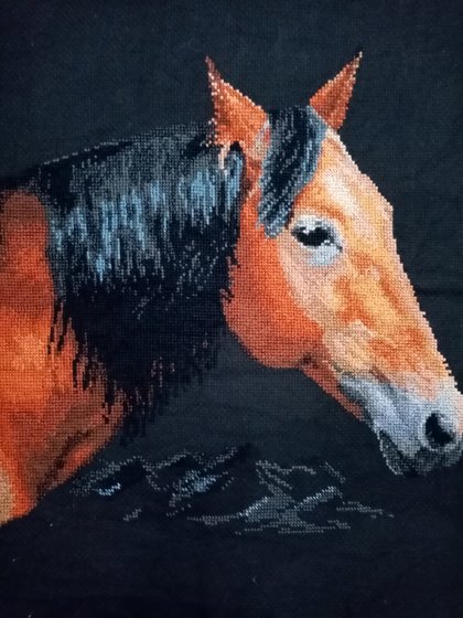 Работа «№94704»