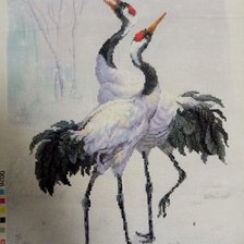 Работа «№94706»