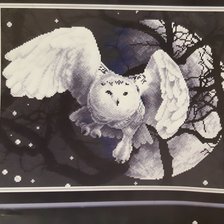 Работа «Белая Сова»