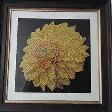 Работа «dalia»