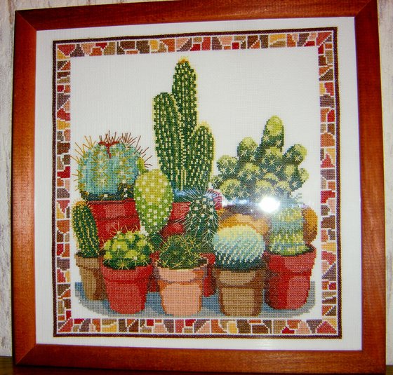 Работа «Суккуленты»