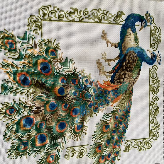 Работа «Павлины»