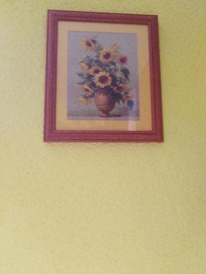 Работа «№95477»