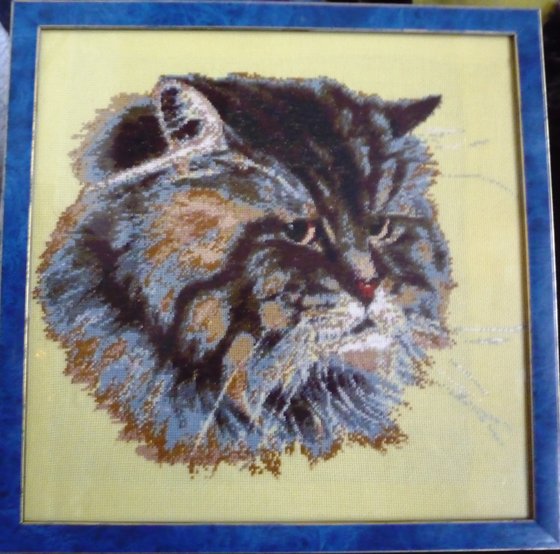 Работа «Кот Кузма»