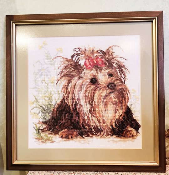 Работа «Йоркширский терьер»