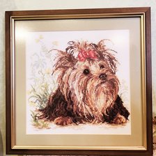 Работа «Йоркширский терьер»