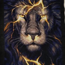Работа «Взгляд льва»