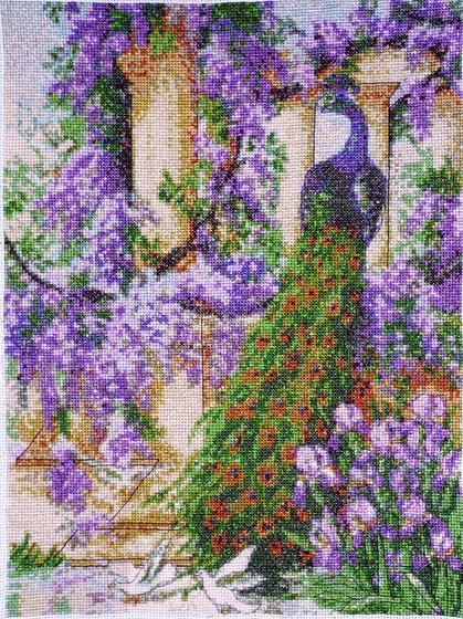 Работа «Павлин.»