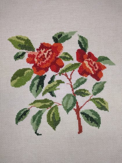 Работа «Камелия»