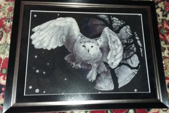 Работа «Белоя сова»