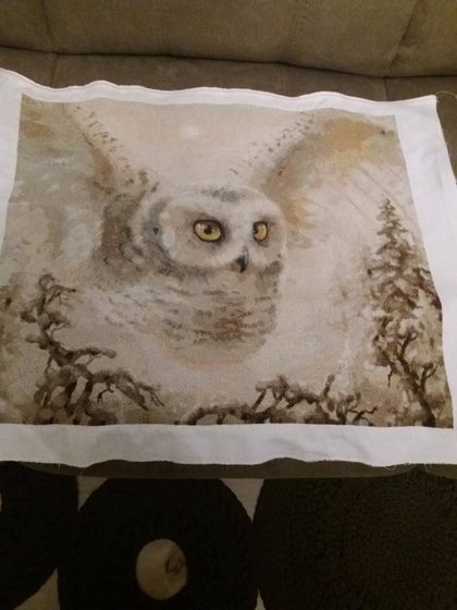 Работа «Сова»