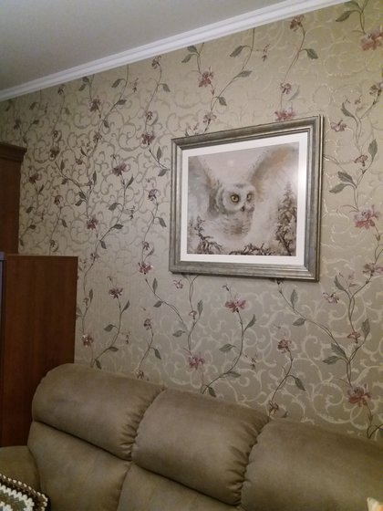 Работа «Сова»