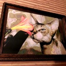 Работа «Сфинкс и кливия»