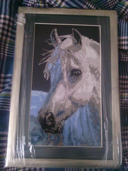 Работа «Koń»