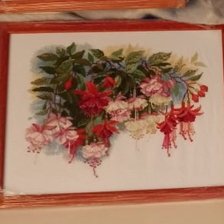 Работа «Фуксия»